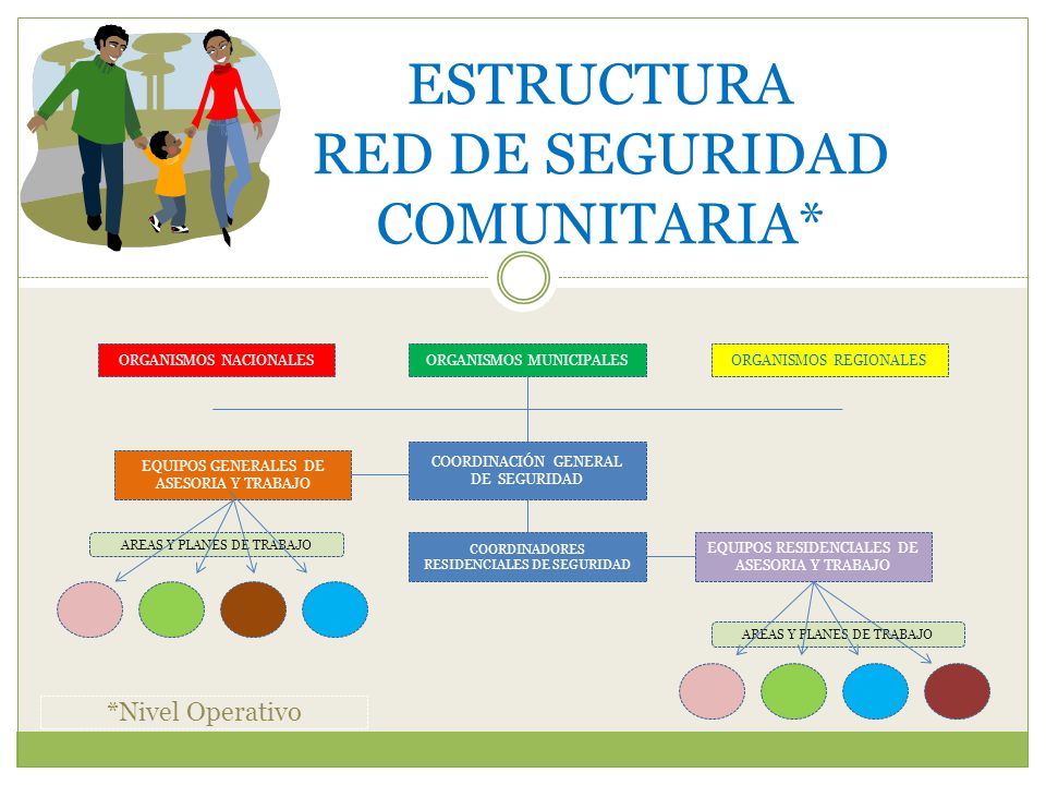 ESTRUCTURA RED DE SEGURIDAD COMUNITARIA*