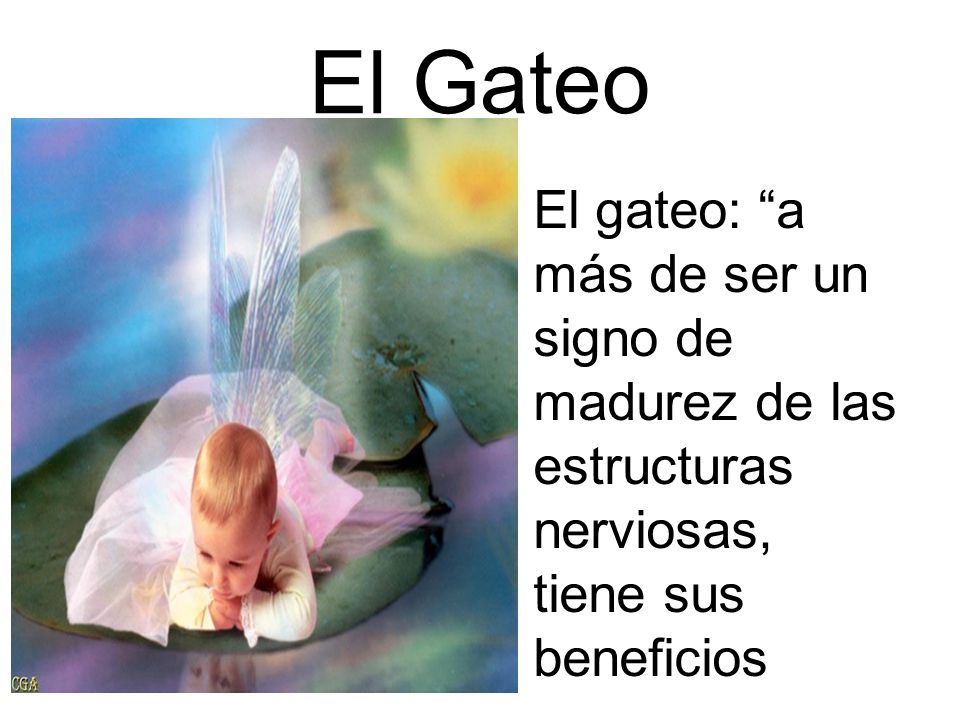 El Gateo El gateo: a más de ser un signo de madurez de las estructuras nerviosas, tiene sus beneficios.