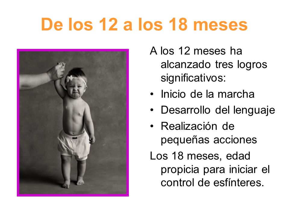 De los 12 a los 18 meses A los 12 meses ha alcanzado tres logros significativos: Inicio de la marcha.