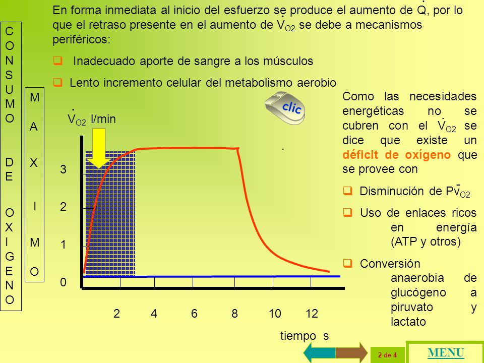 En forma inmediata al inicio del esfuerzo se produce el aumento de Q, por lo que el retraso presente en el aumento de VO2 se debe a mecanismos periféricos: