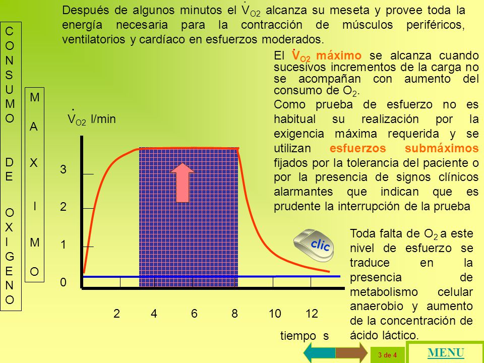 Después de algunos minutos el VO2 alcanza su meseta y provee toda la energía necesaria para la contracción de músculos periféricos, ventilatorios y cardíaco en esfuerzos moderados.