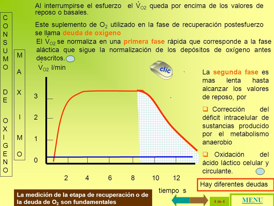 La segunda fase es mas lenta hasta alcanzar los valores de reposo, por
