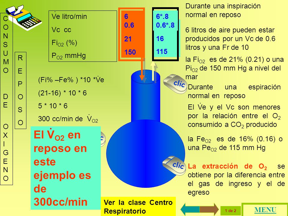El VO2 en reposo en este ejemplo es de 300cc/min