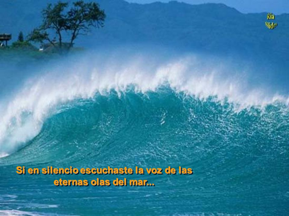 Si en silencio escuchaste la voz de las eternas olas del mar...