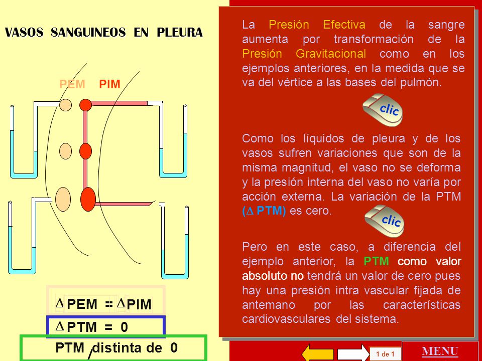 D PEM = PIM D PTM = 0 P TM distinta de 0 VASOS SANGUINEOS EN PLEURA
