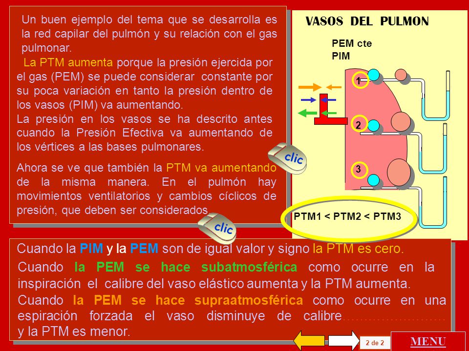 Cuando la PIM y la PEM son de igual valor y signo la PTM es cero.