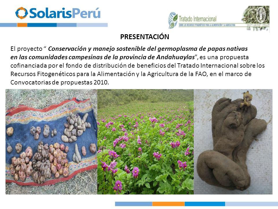 PRESENTACIÓN El proyecto Conservación y manejo sostenible del germoplasma de papas nativas.