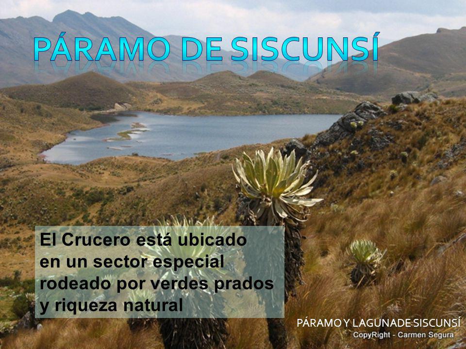 PÁRAMO DE SISCUNSÍ El Crucero está ubicado en un sector especial