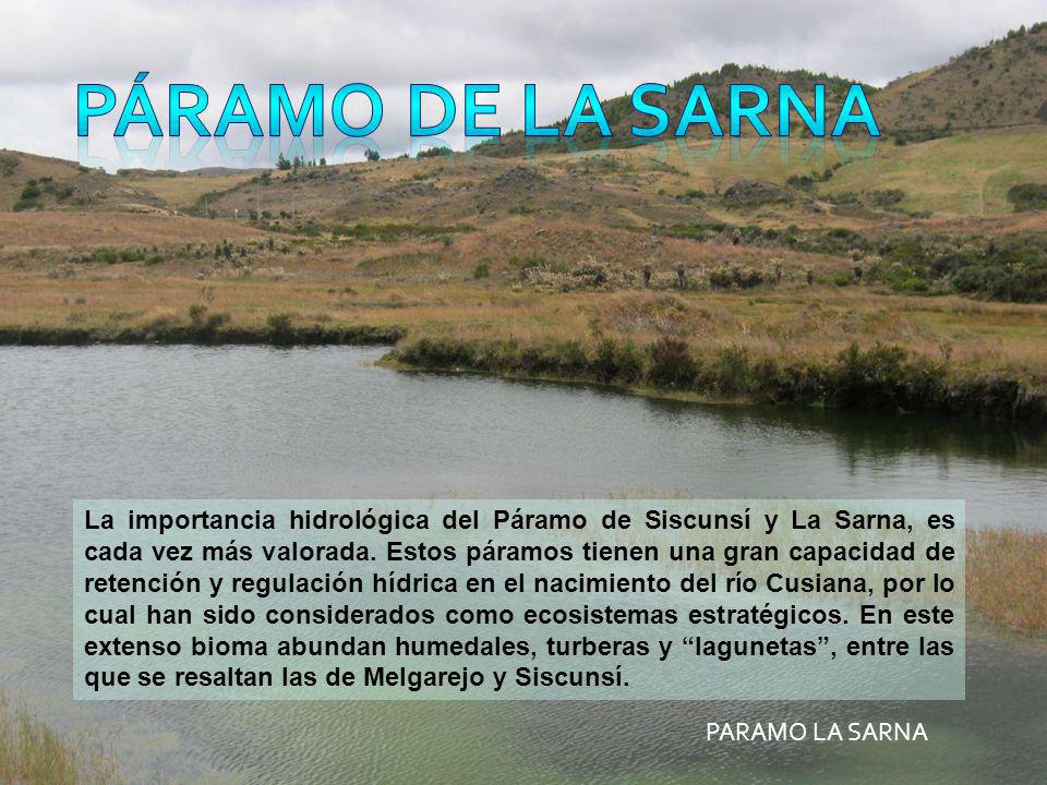 Páramo de la sarna