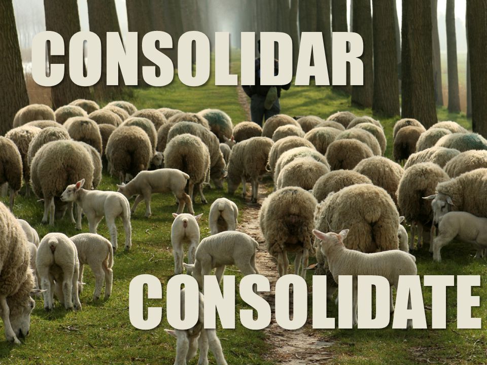 CONSOLIDAR CONSOLIDATE