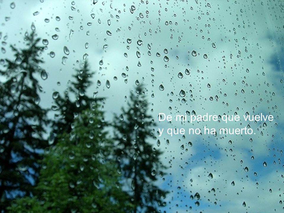 De mi padre que vuelve y que no ha muerto.