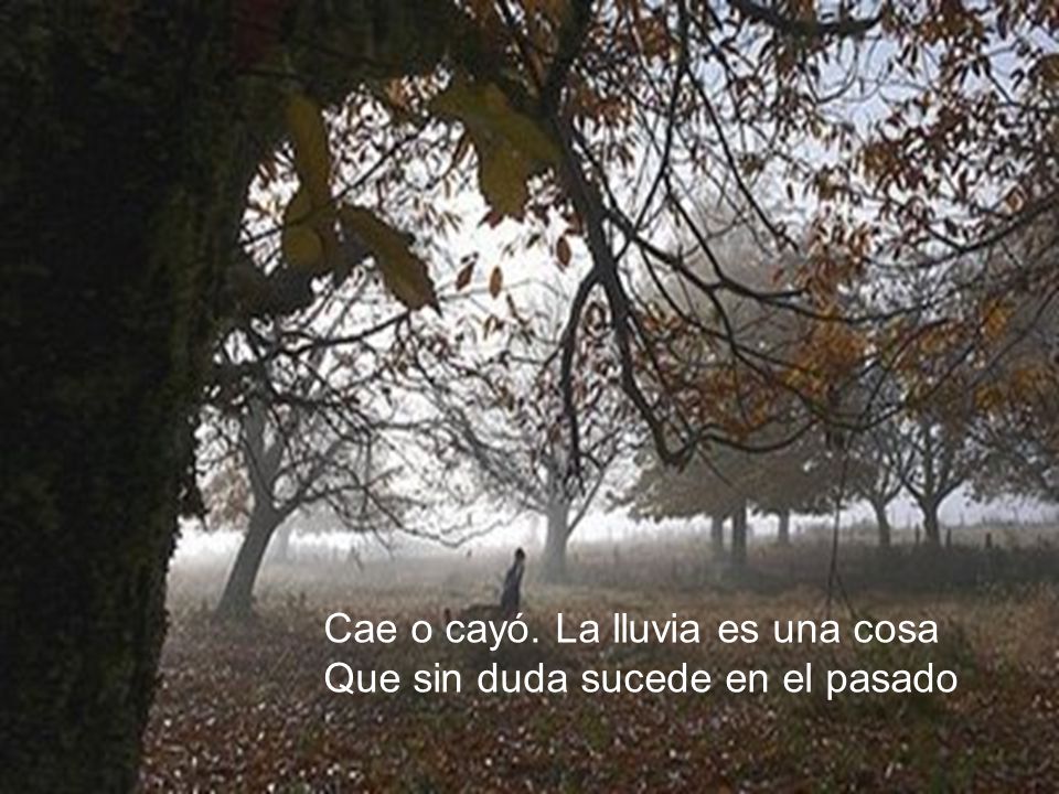 Cae o cayó. La lluvia es una cosa Que sin duda sucede en el pasado