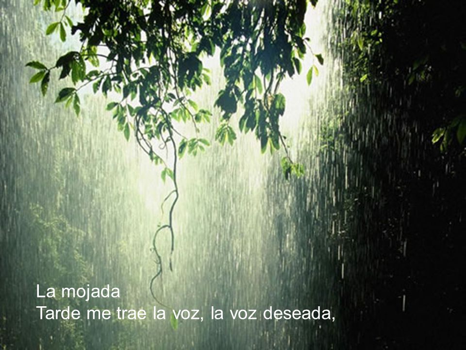 La mojada Tarde me trae la voz, la voz deseada,