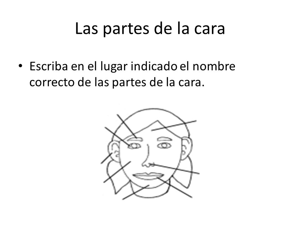 Las partes de la cara Escriba en el lugar indicado el nombre correcto de las partes de la cara.