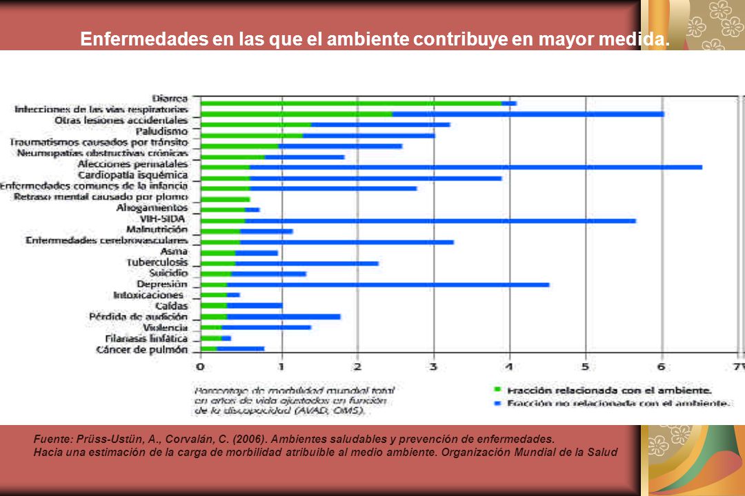Enfermedades en las que el ambiente contribuye en mayor medida.