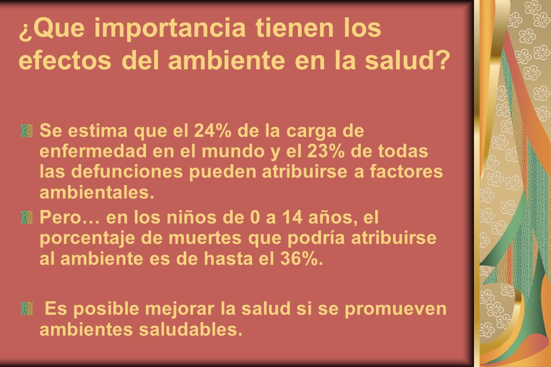 ¿Que importancia tienen los efectos del ambiente en la salud