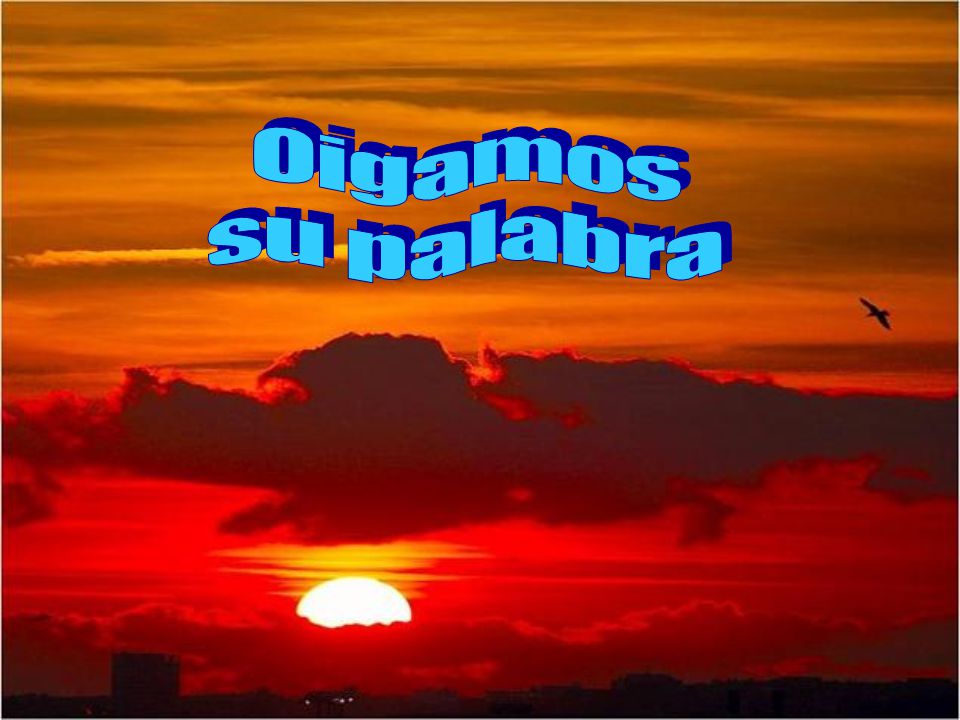 O i g a m o s s u p a l a b r a