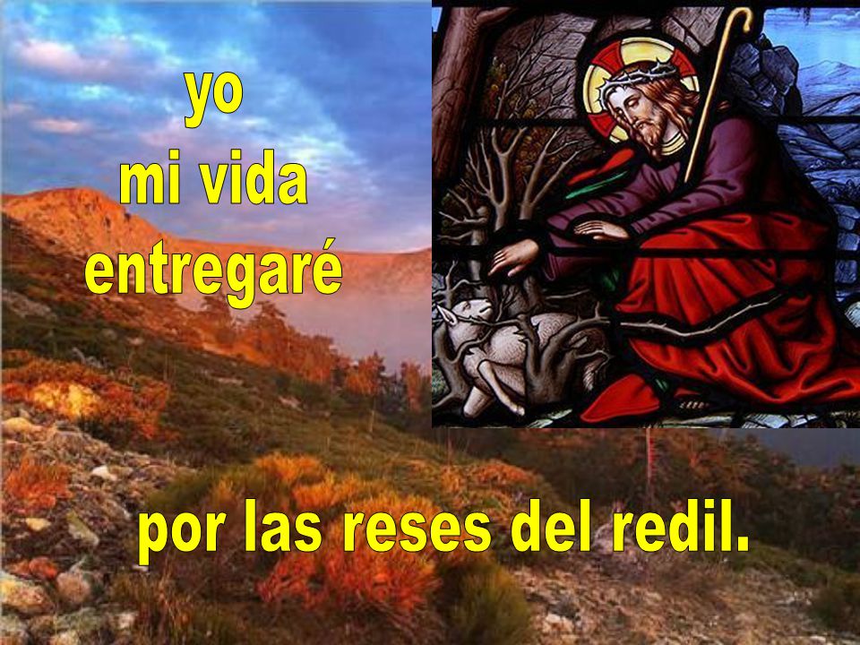 yo mi vida entregaré por las reses del redil.