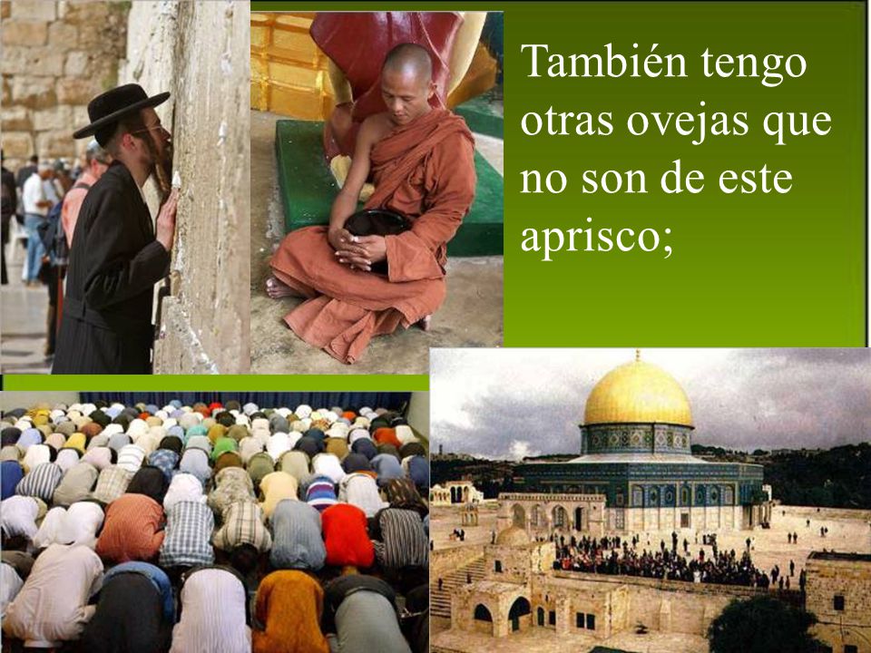 También tengo otras ovejas que no son de este aprisco;