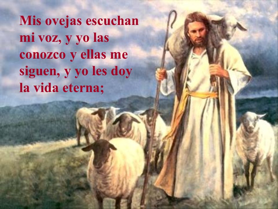 Mis ovejas escuchan mi voz, y yo las conozco y ellas me siguen, y yo les doy la vida eterna;