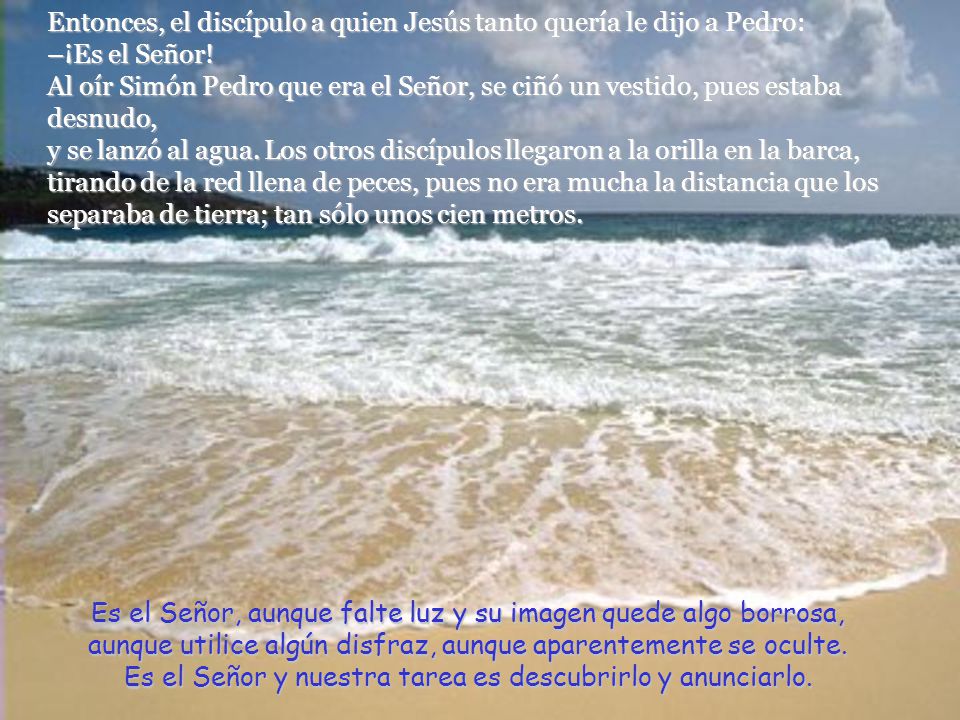 Entonces, el discípulo a quien Jesús tanto quería le dijo a Pedro: –¡Es el Señor! Al oír Simón Pedro que era el Señor, se ciñó un vestido, pues estaba desnudo, y se lanzó al agua. Los otros discípulos llegaron a la orilla en la barca, tirando de la red llena de peces, pues no era mucha la distancia que los separaba de tierra; tan sólo unos cien metros.