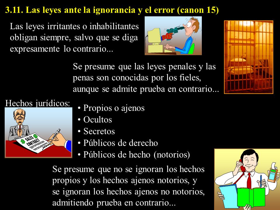 3.11. Las leyes ante la ignorancia y el error (canon 15)