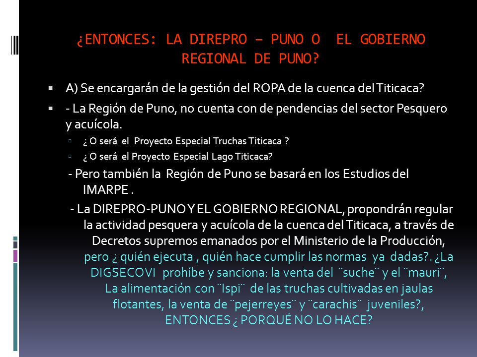 ¿ENTONCES: LA DIREPRO – PUNO O EL GOBIERNO REGIONAL DE PUNO