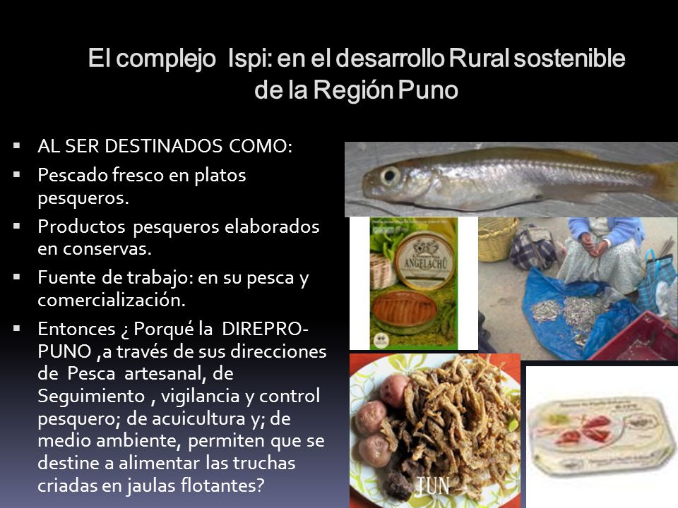 El complejo Ispi: en el desarrollo Rural sostenible de la Región Puno