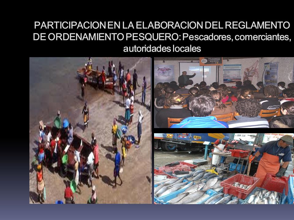 PARTICIPACION EN LA ELABORACION DEL REGLAMENTO DE ORDENAMIENTO PESQUERO: Pescadores, comerciantes, autoridades locales