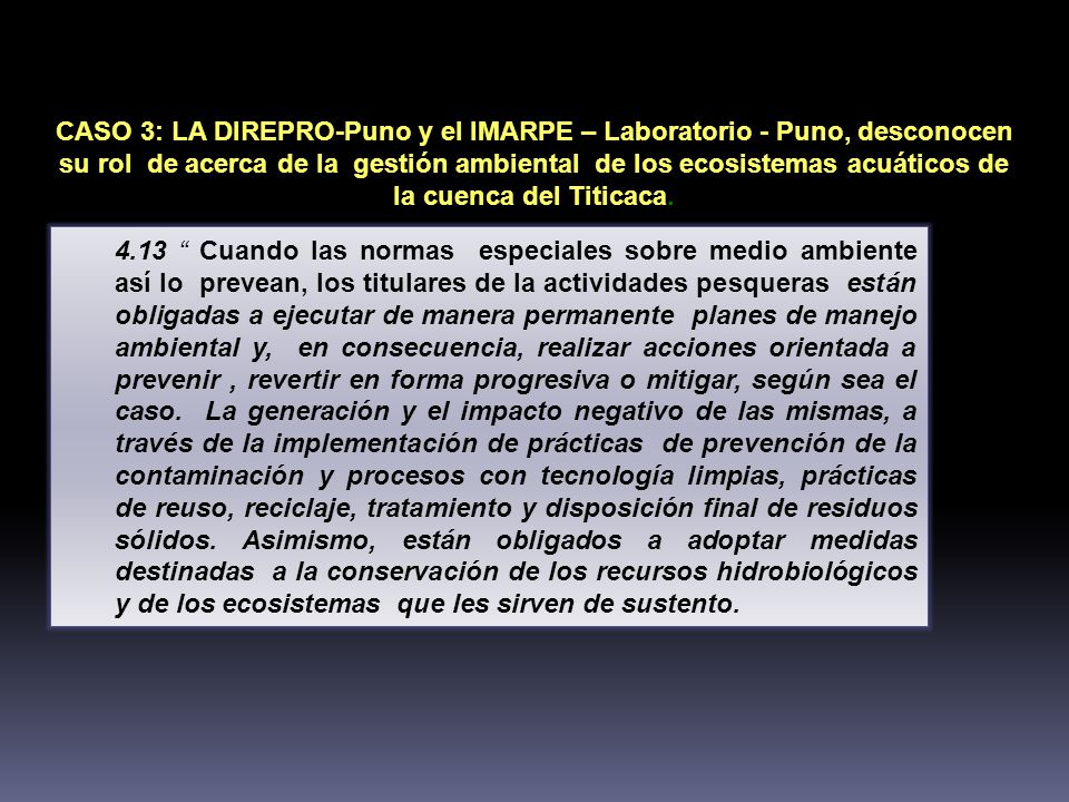 CASO 3: LA DIREPRO-Puno y el IMARPE – Laboratorio - Puno, desconocen su rol de acerca de la gestión ambiental de los ecosistemas acuáticos de la cuenca del Titicaca.