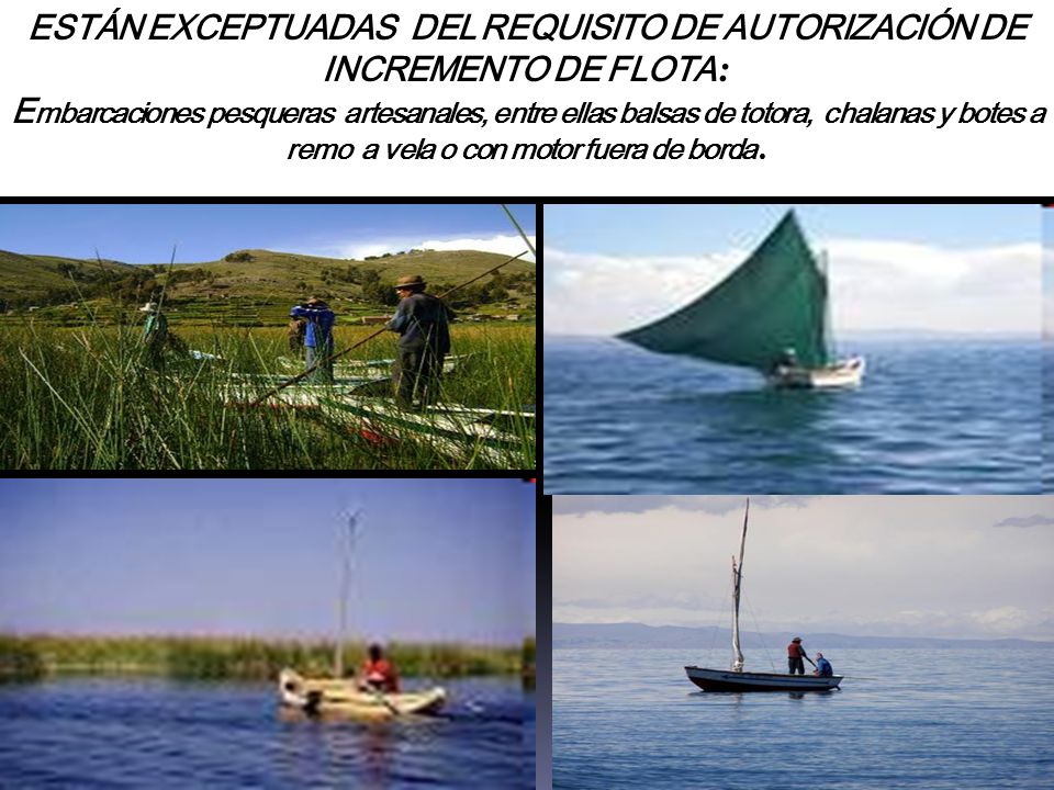 ESTÁN EXCEPTUADAS DEL REQUISITO DE AUTORIZACIÓN DE INCREMENTO DE FLOTA: Embarcaciones pesqueras artesanales, entre ellas balsas de totora, chalanas y botes a remo a vela o con motor fuera de borda.