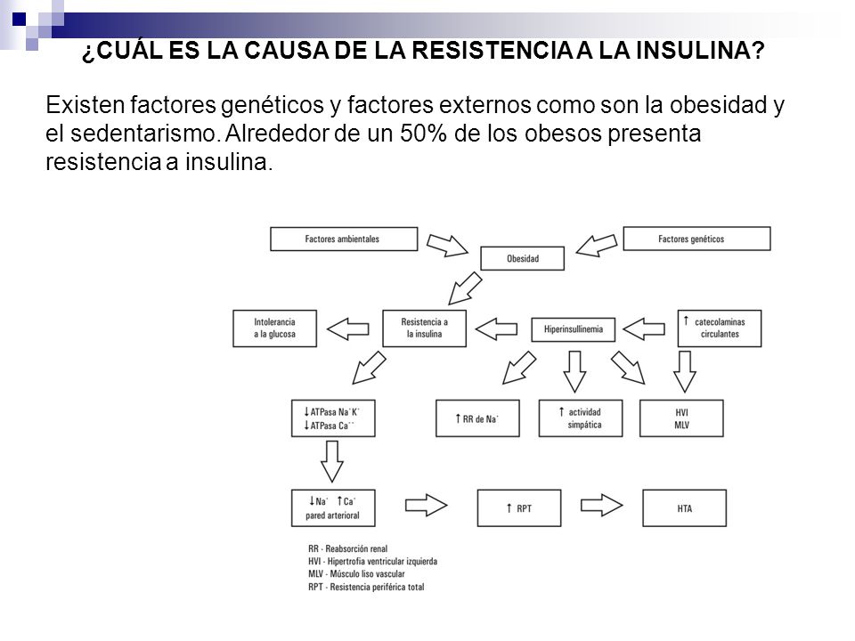 ¿CUÁL ES LA CAUSA DE LA RESISTENCIA A LA INSULINA