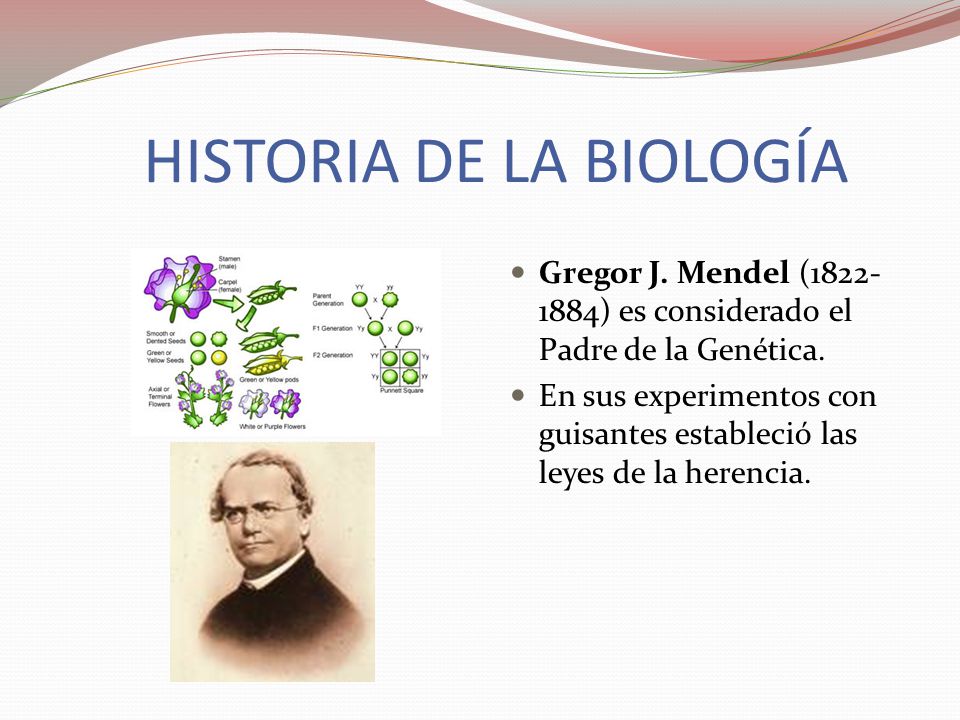 HISTORIA DE LA BIOLOGÍA - ppt video online descargar