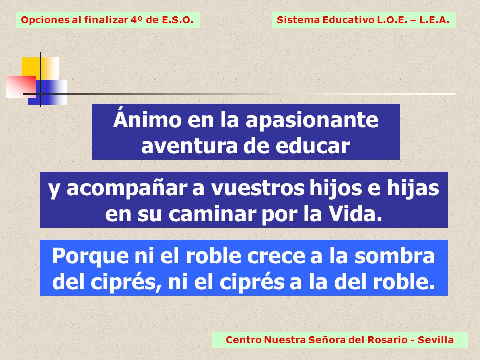 Ánimo en la apasionante aventura de educar