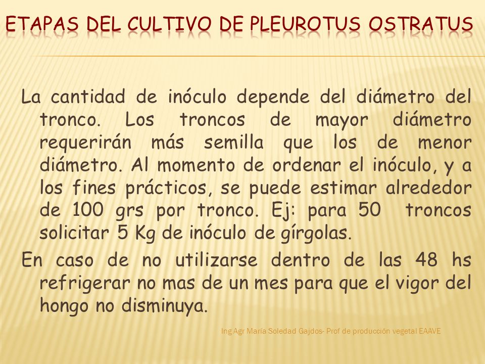 ETAPAS DEL CULTIVO DE PLEUROTUS OSTRATUS