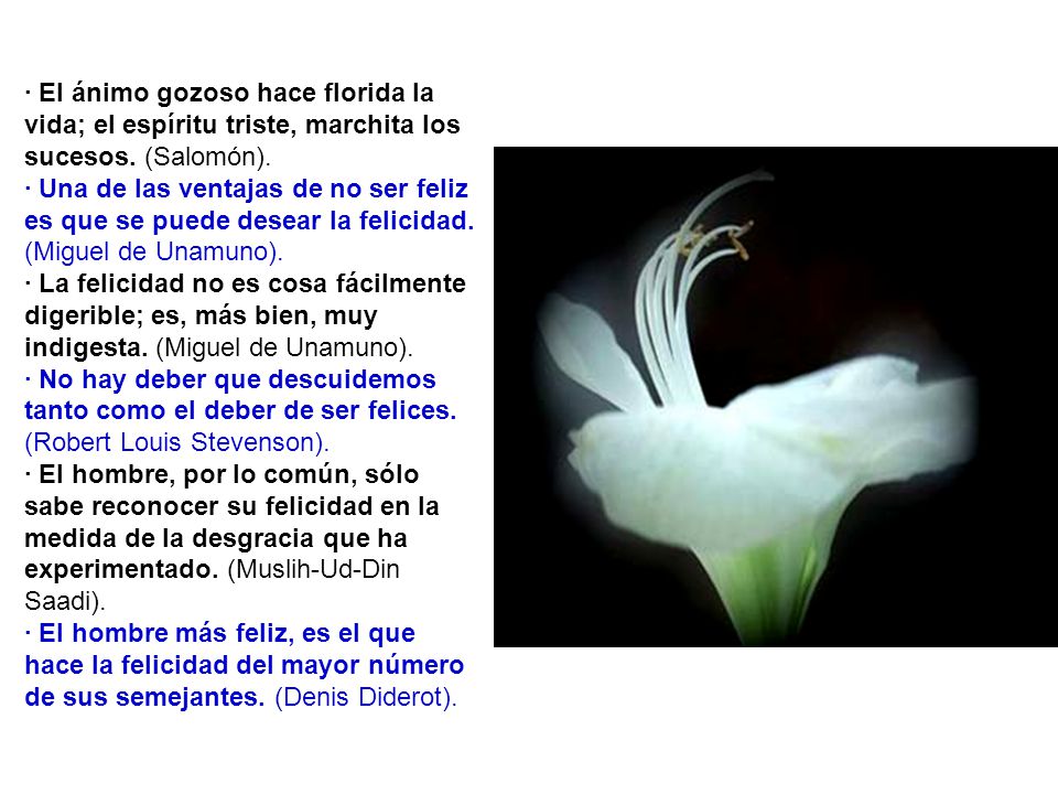 · El ánimo gozoso hace florida la vida; el espíritu triste, marchita los sucesos. (Salomón).