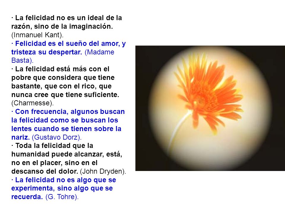 · La felicidad no es un ideal de la razón, sino de la imaginación