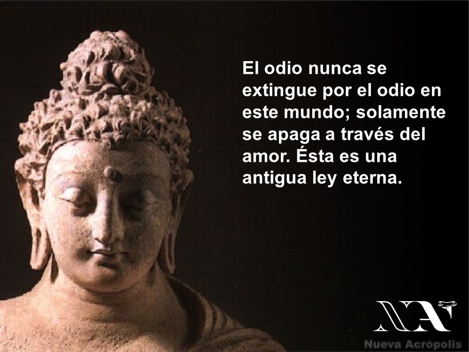 El odio nunca se extingue por el odio en este mundo; solamente se apaga a través del amor.