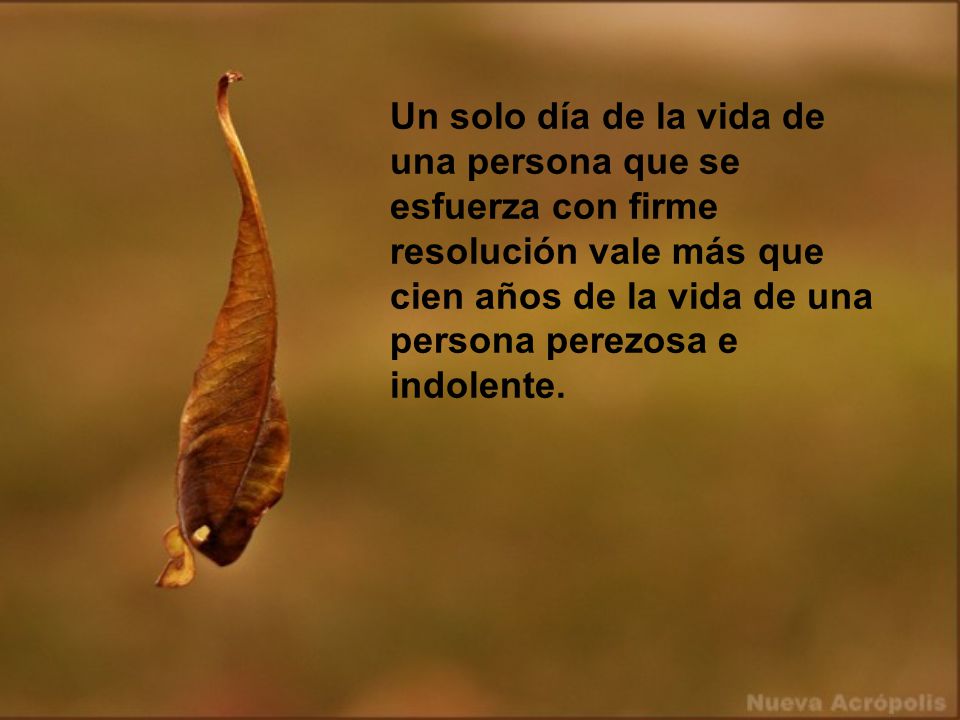 Un solo día de la vida de una persona que se esfuerza con firme resolución vale más que cien años de la vida de una persona perezosa e indolente.