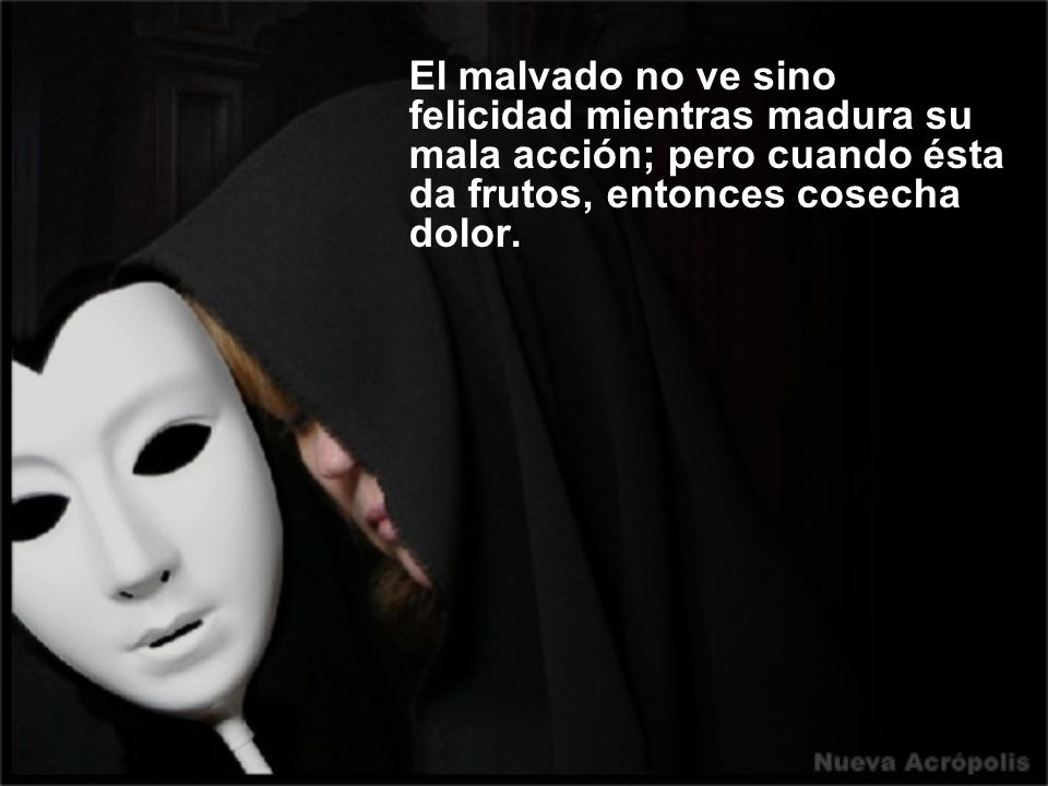 El malvado no ve sino felicidad mientras madura su mala acción; pero cuando ésta da frutos, entonces cosecha dolor.