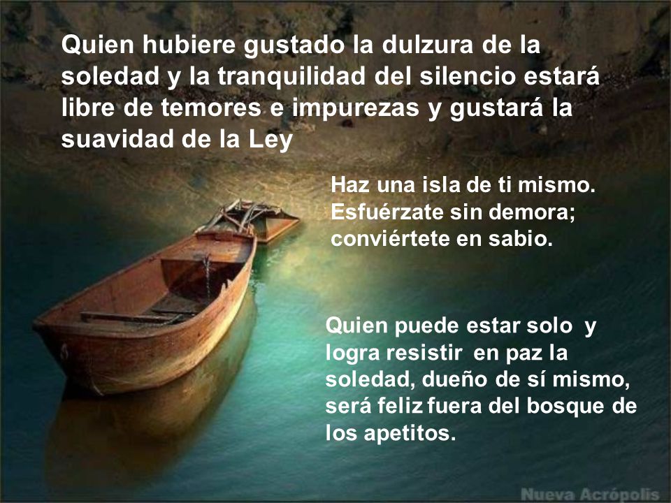 Quien hubiere gustado la dulzura de la soledad y la tranquilidad del silencio estará libre de temores e impurezas y gustará la suavidad de la Ley