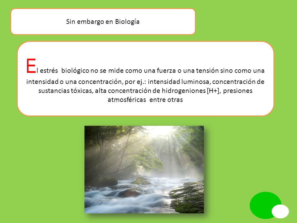 Sin embargo en Biología