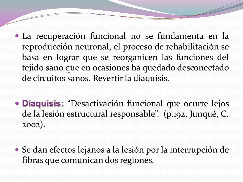 La recuperación funcional no se fundamenta en la reproducción neuronal, el proceso de rehabilitación se basa en lograr que se reorganicen las funciones del tejido sano que en ocasiones ha quedado desconectado de circuitos sanos. Revertir la diaquisis.
