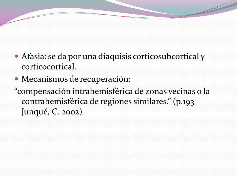 Afasia: se da por una diaquisis corticosubcortical y corticocortical.