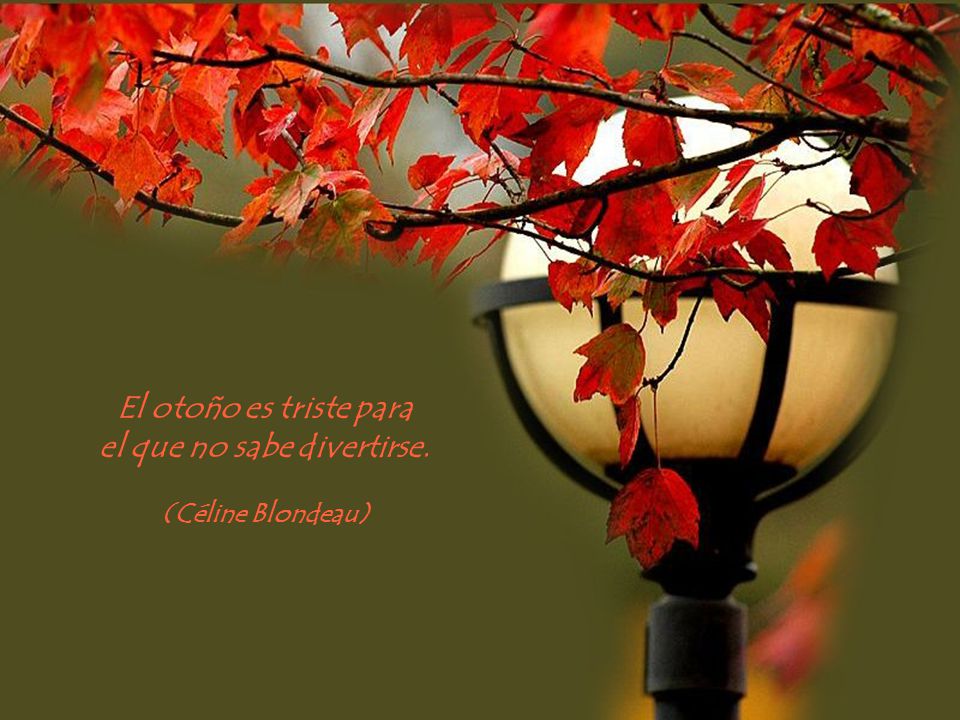 el que no sabe divertirse.