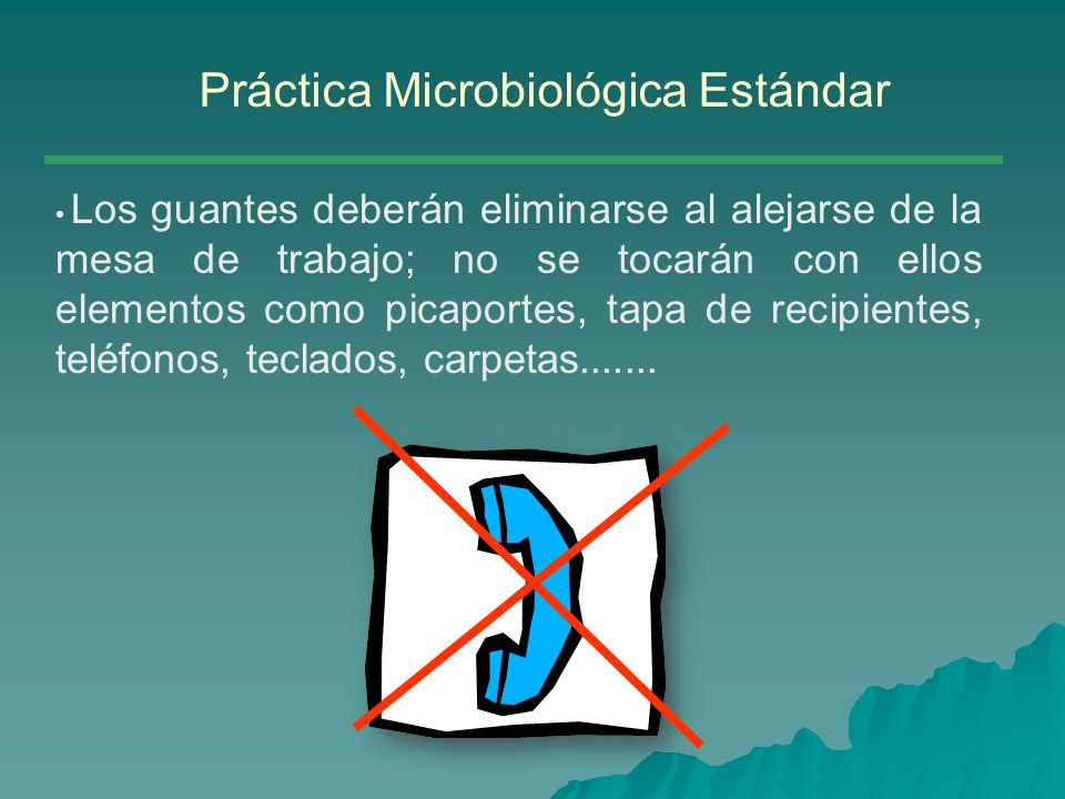 Práctica Microbiológica Estándar
