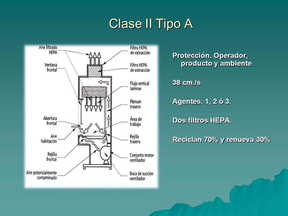 Clase II Tipo A Protección. Operador, producto y ambiente 38 cm./s