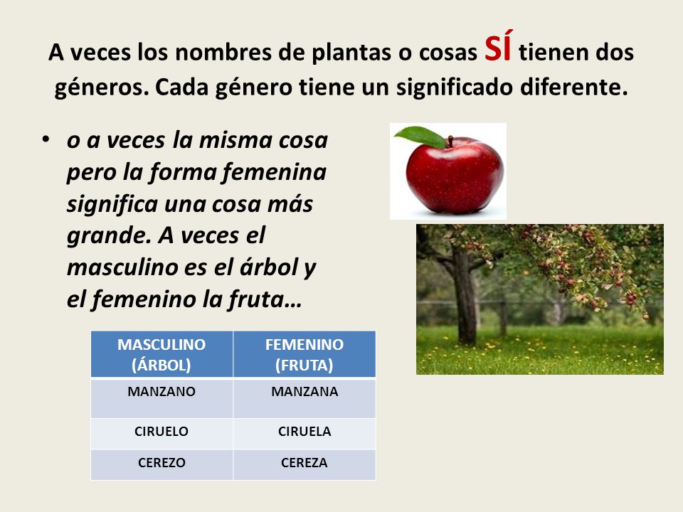 A veces los nombres de plantas o cosas SÍ tienen dos géneros