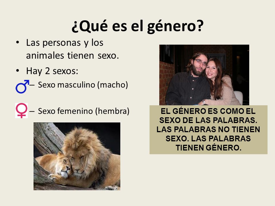 ¿Qué es el género Las personas y los animales tienen sexo.