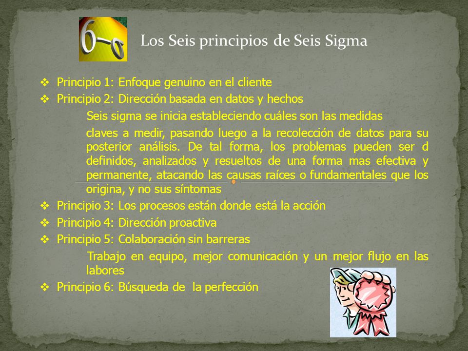 Los Seis principios de Seis Sigma